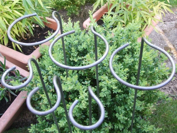 Loop-Style Garden Plant Supports